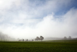 paysage de campagne dans le brouillard