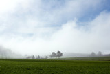 paysage ce campagne dans la brume
