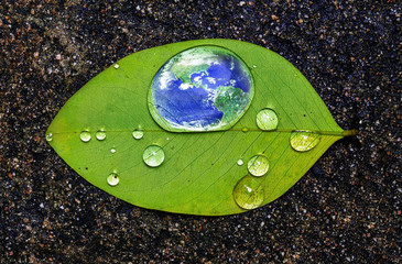 Earth in water drop reflection on green leaf, Save the earth concept, Elements of this image furnished by NASA