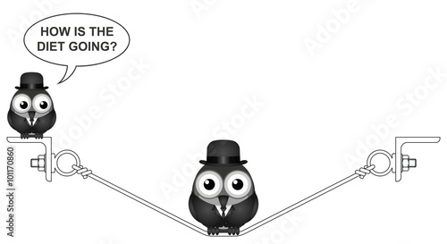 Overweight bird on a flexed steel wire 