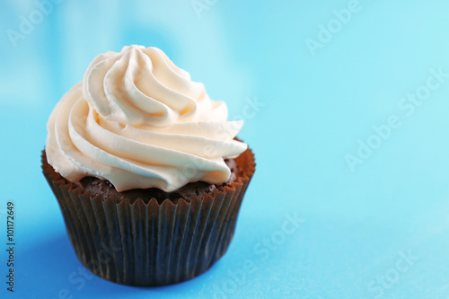 Chocolate cupcake on blue background