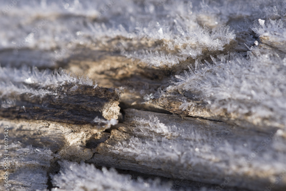 Frost covering weathered wood on a winter morning Frost covering weathered wood on a winter morning