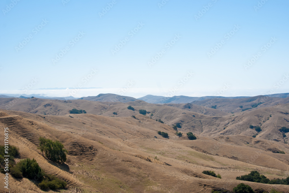 Fog over the rolling hills of California coast Fog over the rolling hills of California coast