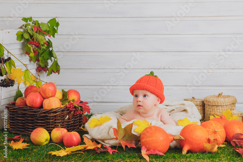 baby in the basket with pumpkins. autumn photo