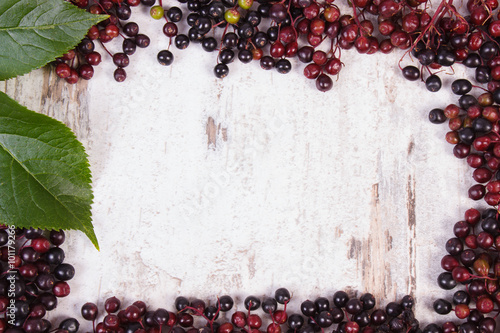 Frame of autumn fresh elderberry with leaf and copy space for text photo