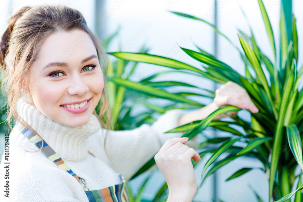Smiling lovely woman gardener working and taking care of ficus Smiling lovely woman gardener working and taking care of ficus