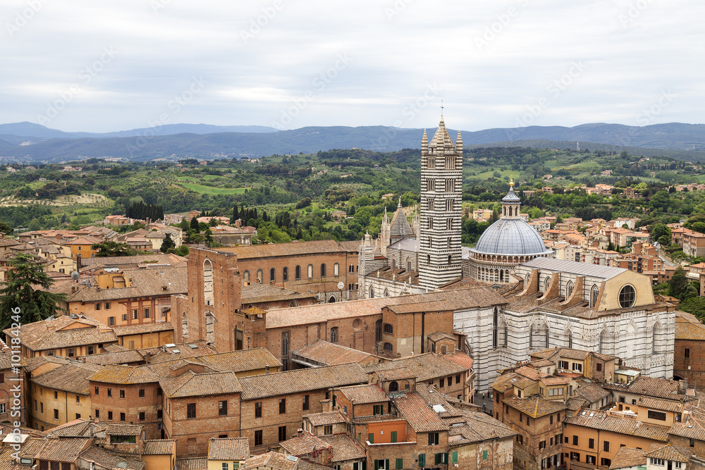 Top view of the Cathedral of Siena, Tuscany in  Italy