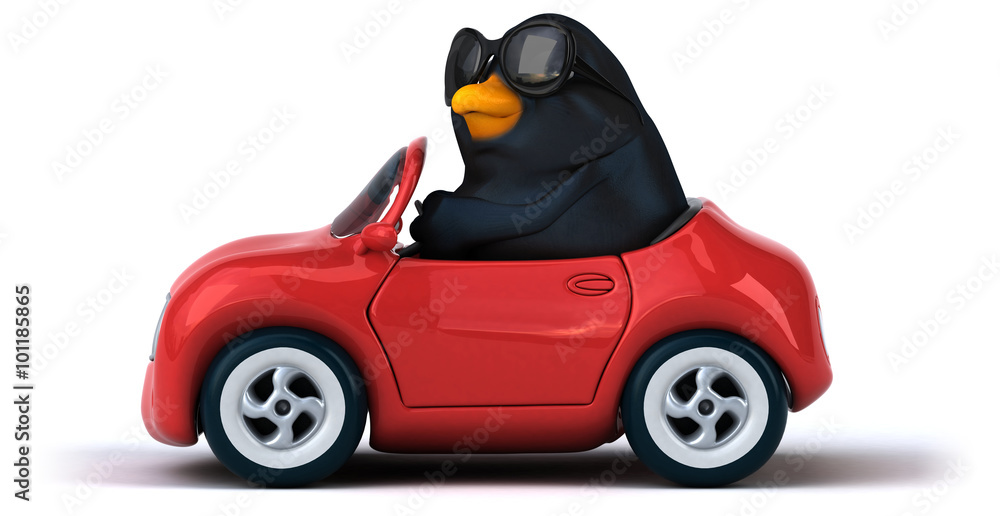 Blackbird Blackbird