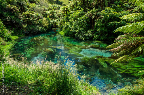 Blue Spring which is located at Te Waihou Walkway Hamilton New Zealand. It internationally acclaimed supplies around 70  of New Zealand s bottled water because of the pure water.