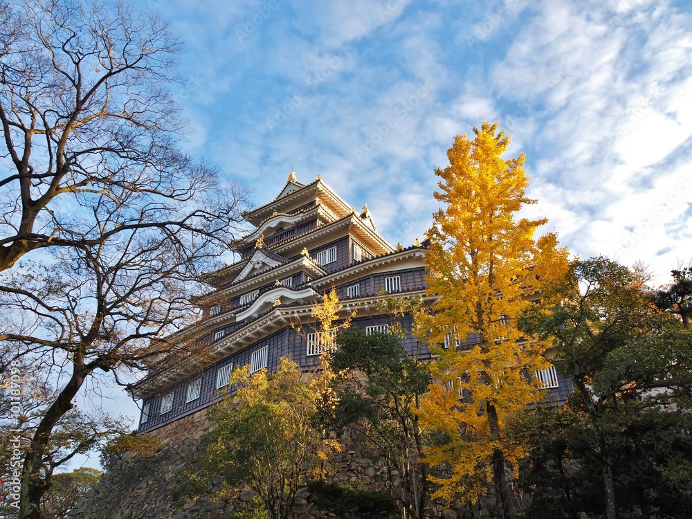 Okayama Castle and ginkgo tree with blue sky in the city of Okayama in Okayama Prefecture, Japan. The castle is frequently known as Okayama Castle and ginkgo tree with blue sky in the city of Okayama in Okayama Prefecture, Japan. The castle is frequently known as