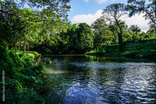 Meandering stream with trees and blue sky photo