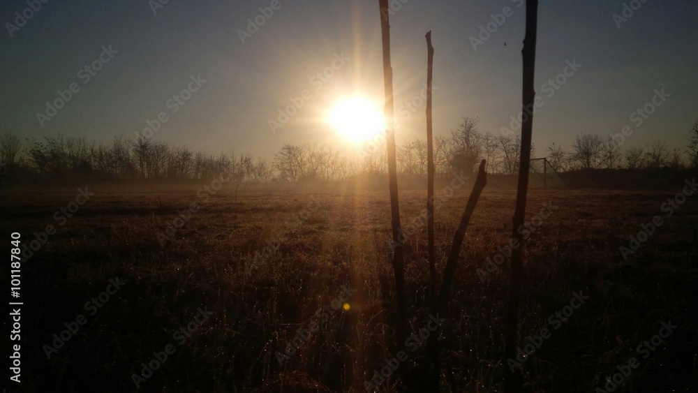 primi raggi di sole