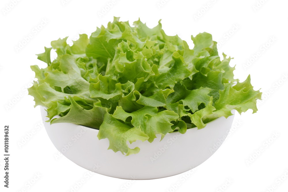 Salad Salad