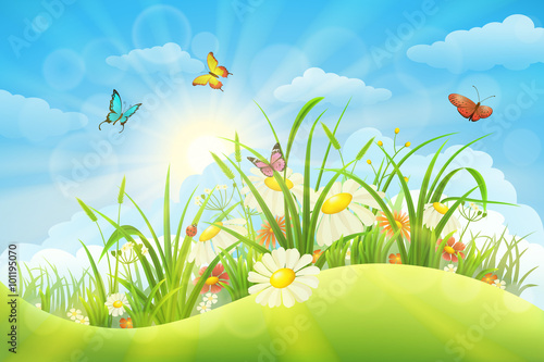 Spring summer meadow background with grass, flowers, sun and butterflies
