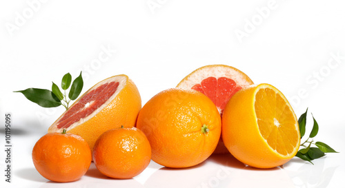 Citrus fruits isolated on white © HANA76