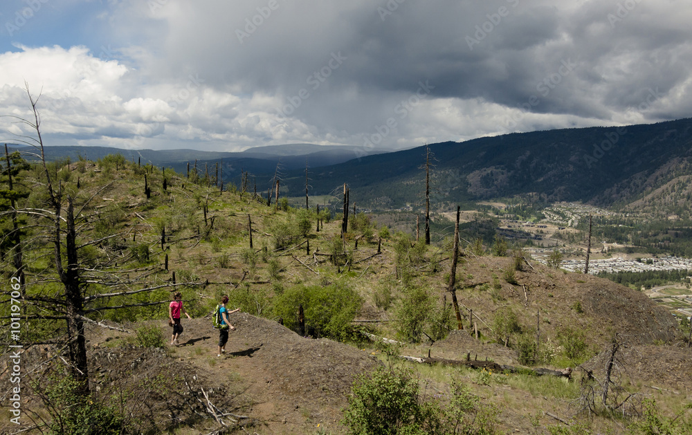 Obraz premium Hiking Up Mountain Trail