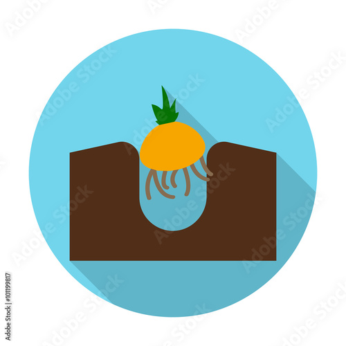  onion flat icon with long shadow for web