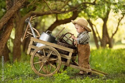 Fototapeta Young gardener digging in the cart with inventory