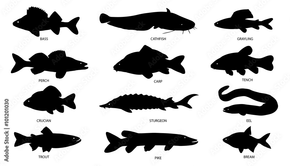 fish freshwater silhouettes fish freshwater silhouettes