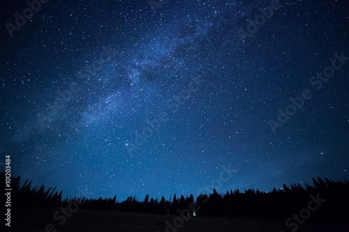 Blue dark night sky with many stars above field of trees. Milkyw photo