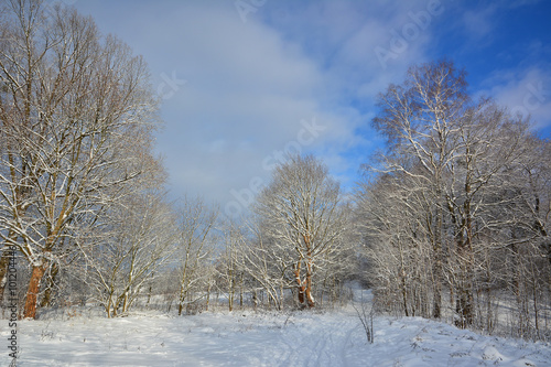 Witer country landscape in Poland © puchan