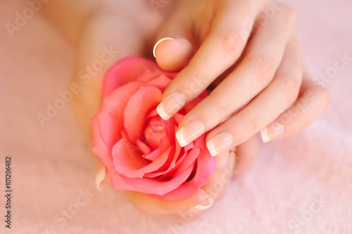 Closeup image of pink french manicure with rose