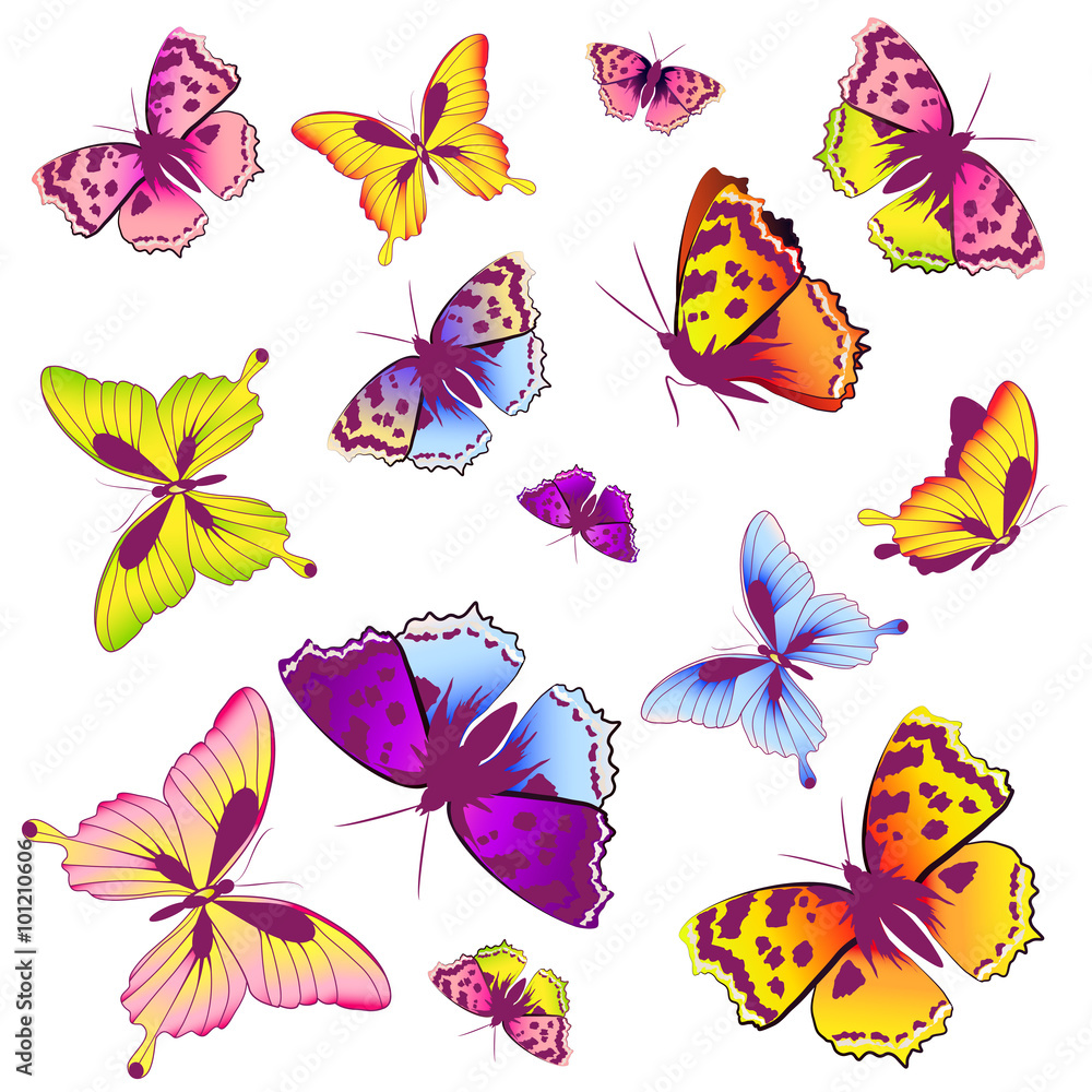 butterflies design butterflies design