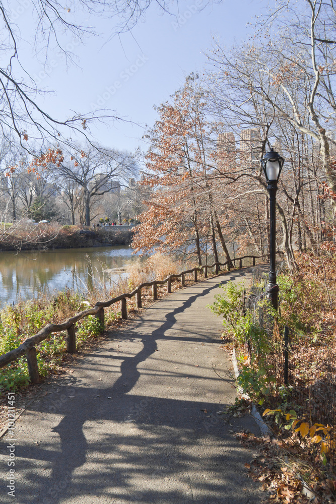 Central Park lake with walking trail and tree reflection Central Park lake with walking trail and tree reflection