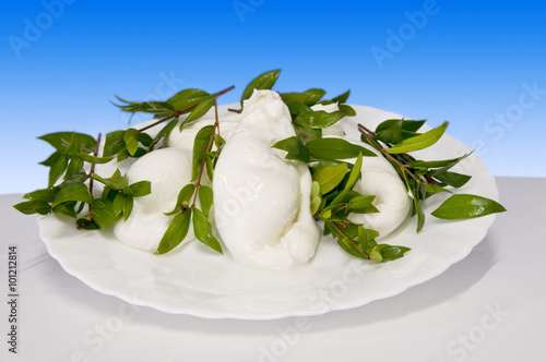 Italian food mortella of mozzarella of buffalo