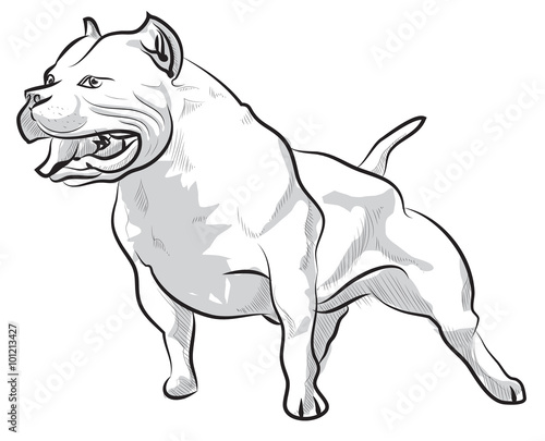 Vector sketch hand drawing illustration pitbull barking