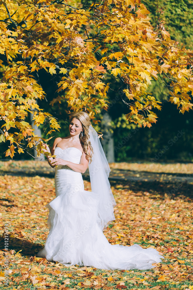 delicate beautiful bride with a white dress against the background of the autumn landscape