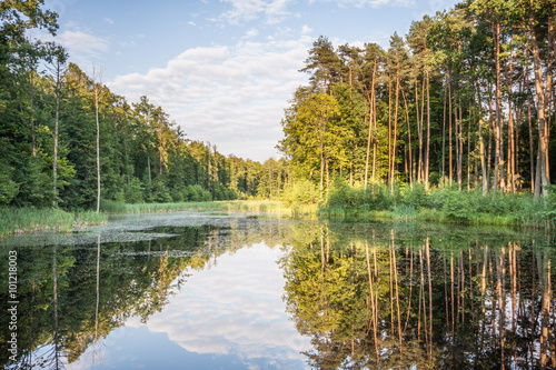 Jezioro w lesie, odbicie drzew w tafli wody