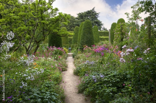 Fototapet English country garden with clipped yew trees