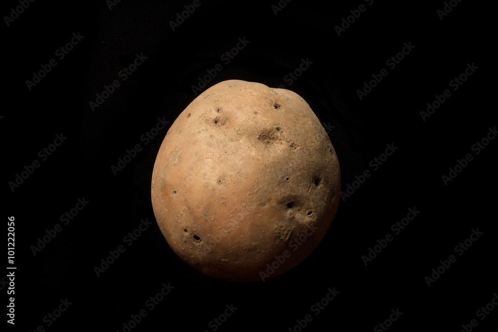 Fototapeta premium Potato on the black background