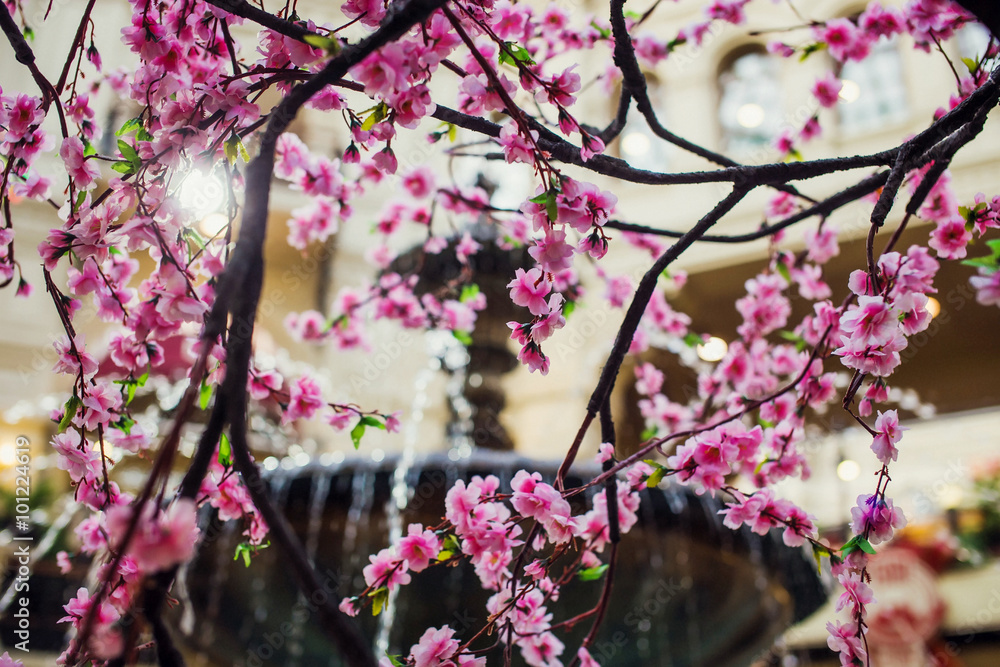 Artificial pink cherry flowers blooming indoor. Fountain in bokeh Artificial pink cherry flowers blooming indoor. Fountain in bokeh