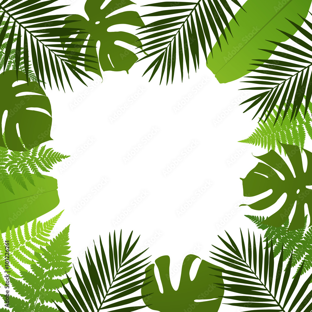 Tropical leaves background. Frame with palm,fern,monstera and banana ...