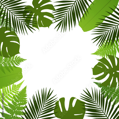 Tropical leaves background. Frame with palm fern monstera and banana leaves. Vector illustration