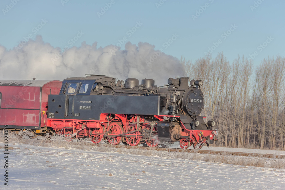 Obraz premium doberaner Molli