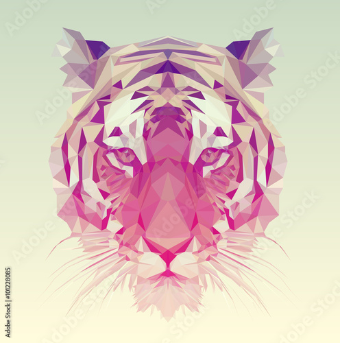 Photo Polygonal Tiger Graphic Design.