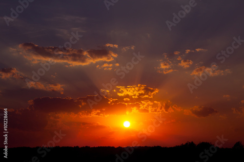 summer sunset in the field. a hot evening.