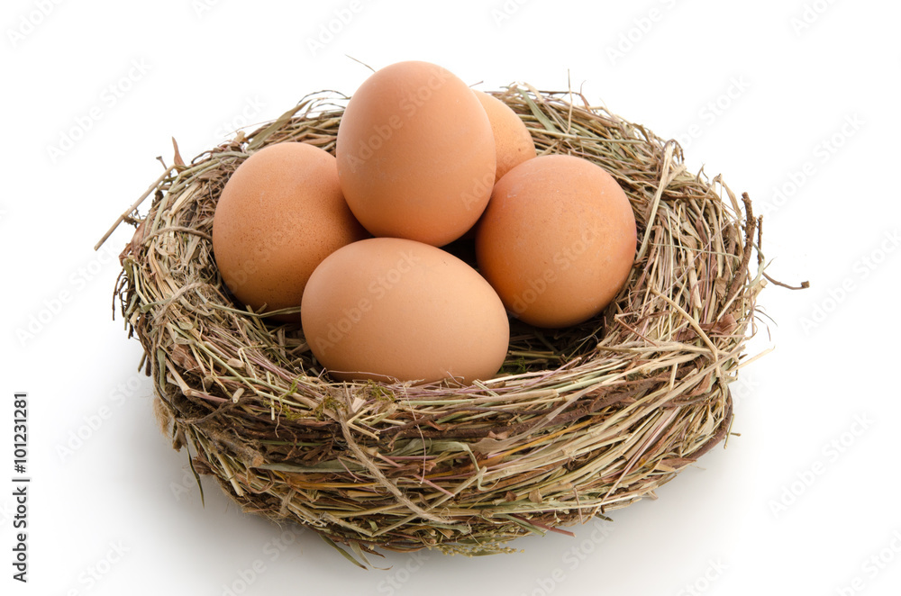 Hühnereier im Nest Hühnereier im Nest