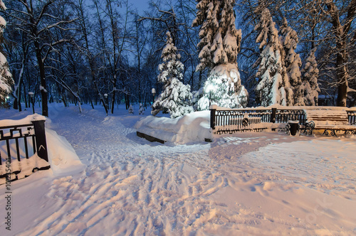 Winter alley in park and shining lanterns.