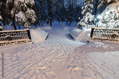 Winter alley in park and shining lanterns.