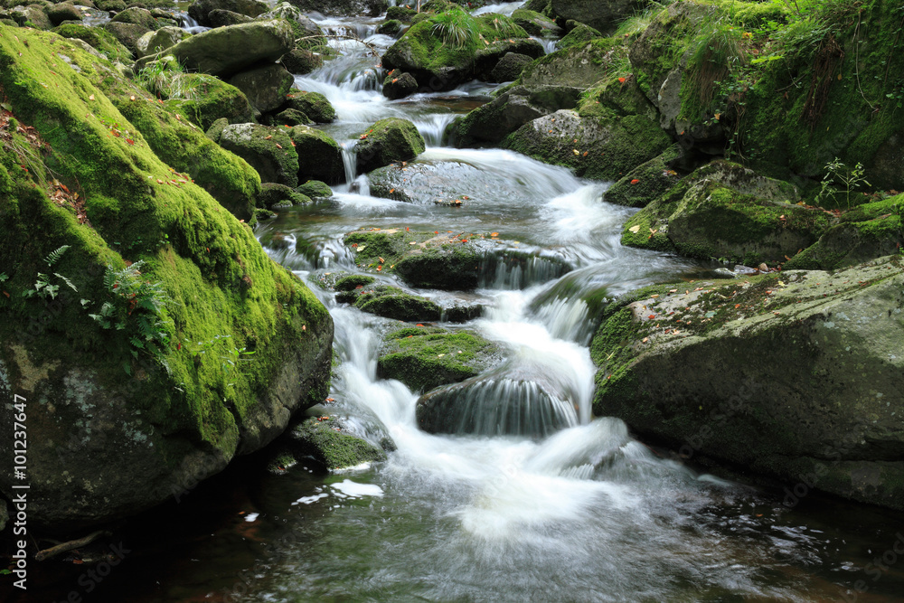 Mountain stream Mountain stream