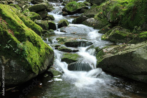 Mountain stream