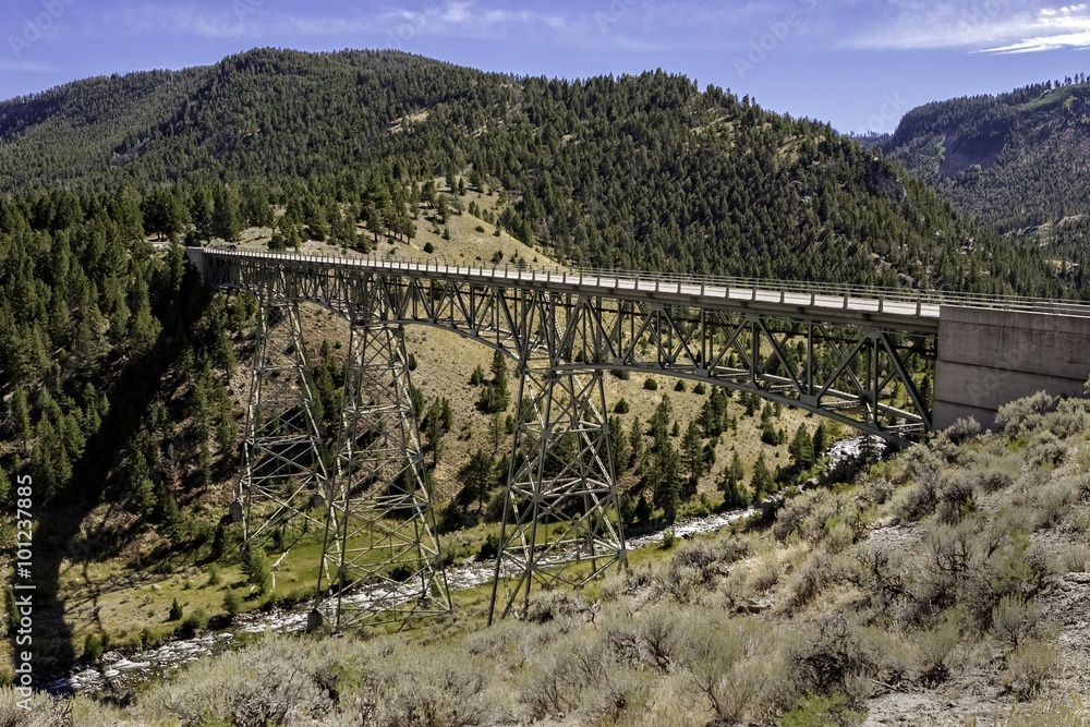 Bridge in Yellowstone