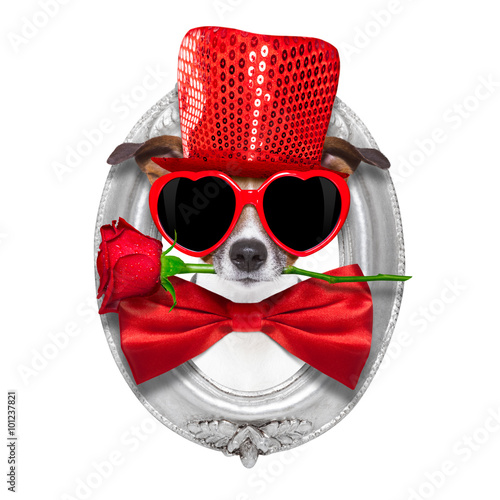 valentines dog in love © Javier brosch