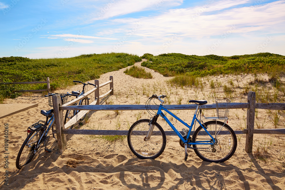 Fototapeta premium Cape Cod Herring Cove Beach Massachusetts US