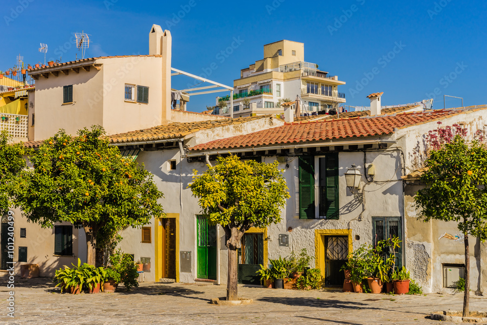 Idyllic view of mediterranean houses