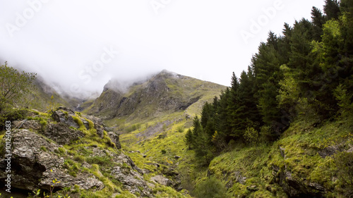Canvastavla Inverno